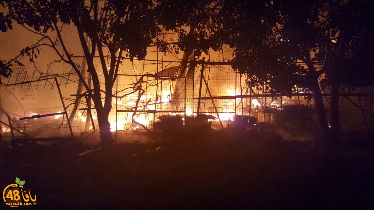 Fire in mawqef shayart (3).jpg